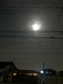 画像: 月夜