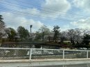 画像: 桜その3…というか雨、ガンダムSEEDを見た