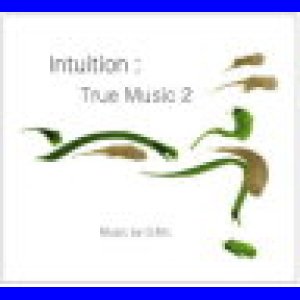 Intuition : True Music 2 イントゥイション :トゥルー ミュージック