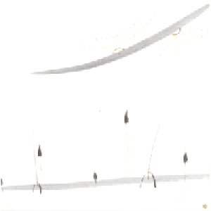 画像: 足立幸子　ギフトカード　やすらぎ