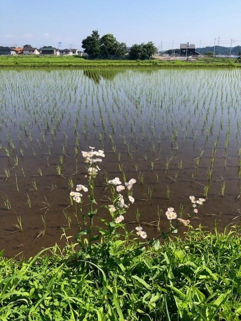 画像: 雪解け間近の北の空に向かい～