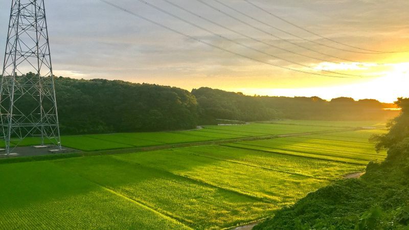 画像: 数字～田んぼの夕陽　※追記