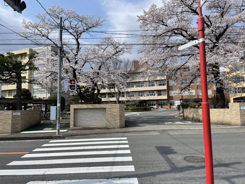 画像: 矢板中央高校の桜～ウソの、いい人戦略