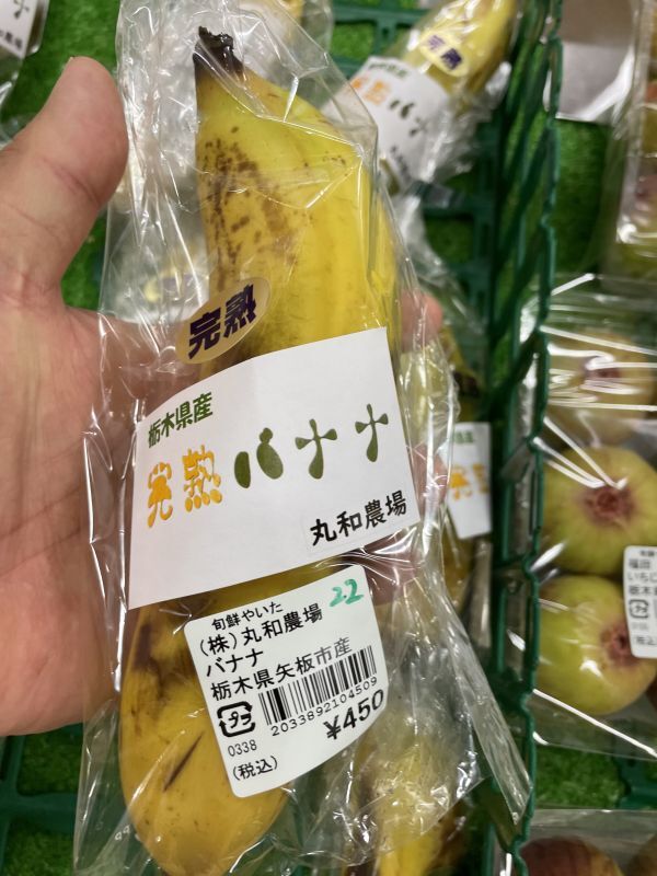 画像: 矢板産バナナ？～やさしい日本語