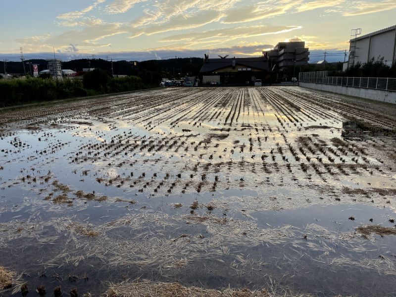 画像: カルマ（よひとやむみな）～知的な野蛮人を目指せ