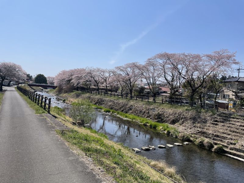 画像: GEEDの証～キボウノカケラ～日本のエリート、世界では…～ゲテロ⑬