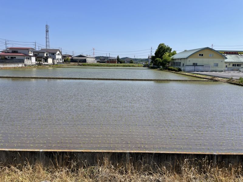 画像: 面接のような不思議な夢～回るのは自分じゃないんだね？