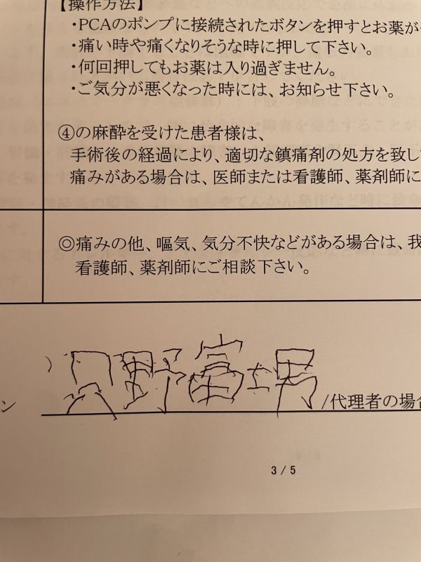 画像: 🏥サイン〜只野家ルーツ〜なつめの木♪