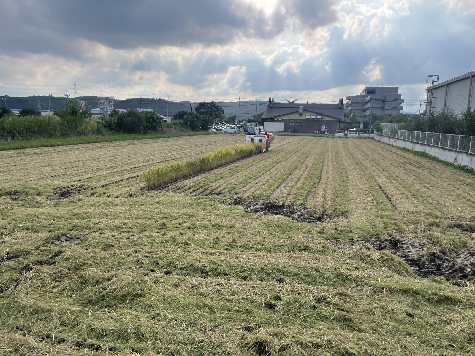 画像: 「ユダヤの叡智」格言10選～敬老の日だから